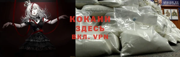 дмт Нея