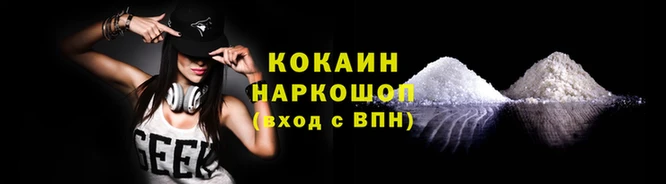 индика Надым