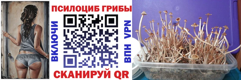 Псилоцибиновые грибы мицелий  Арсеньев 